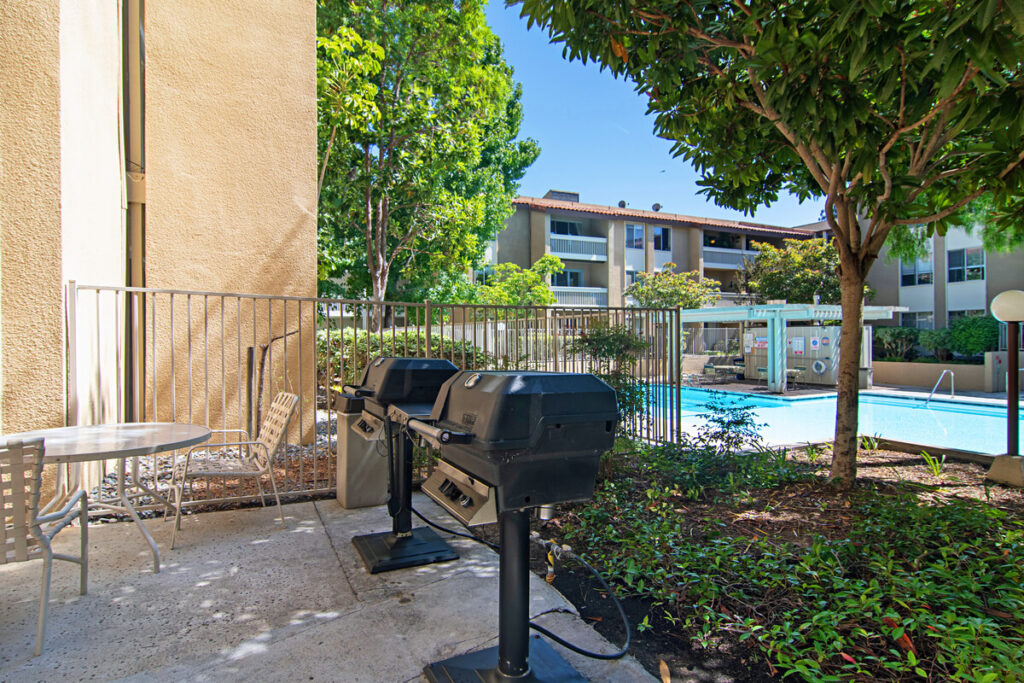 The Plaza condos bbq