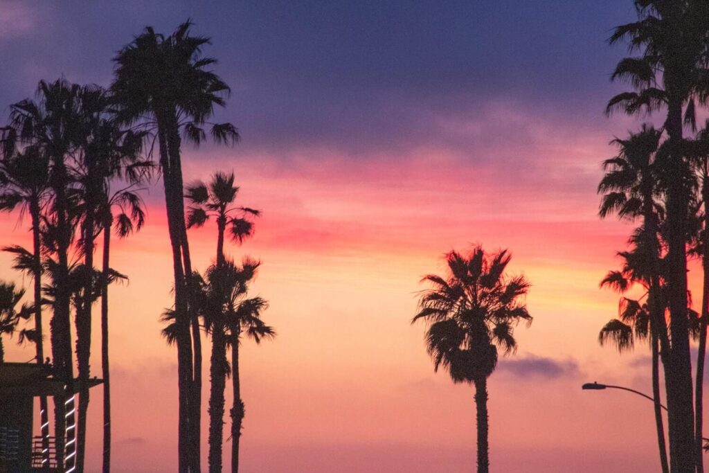Colorful sunset with palm trees